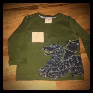 Hanna Anderson Dragon Shirt